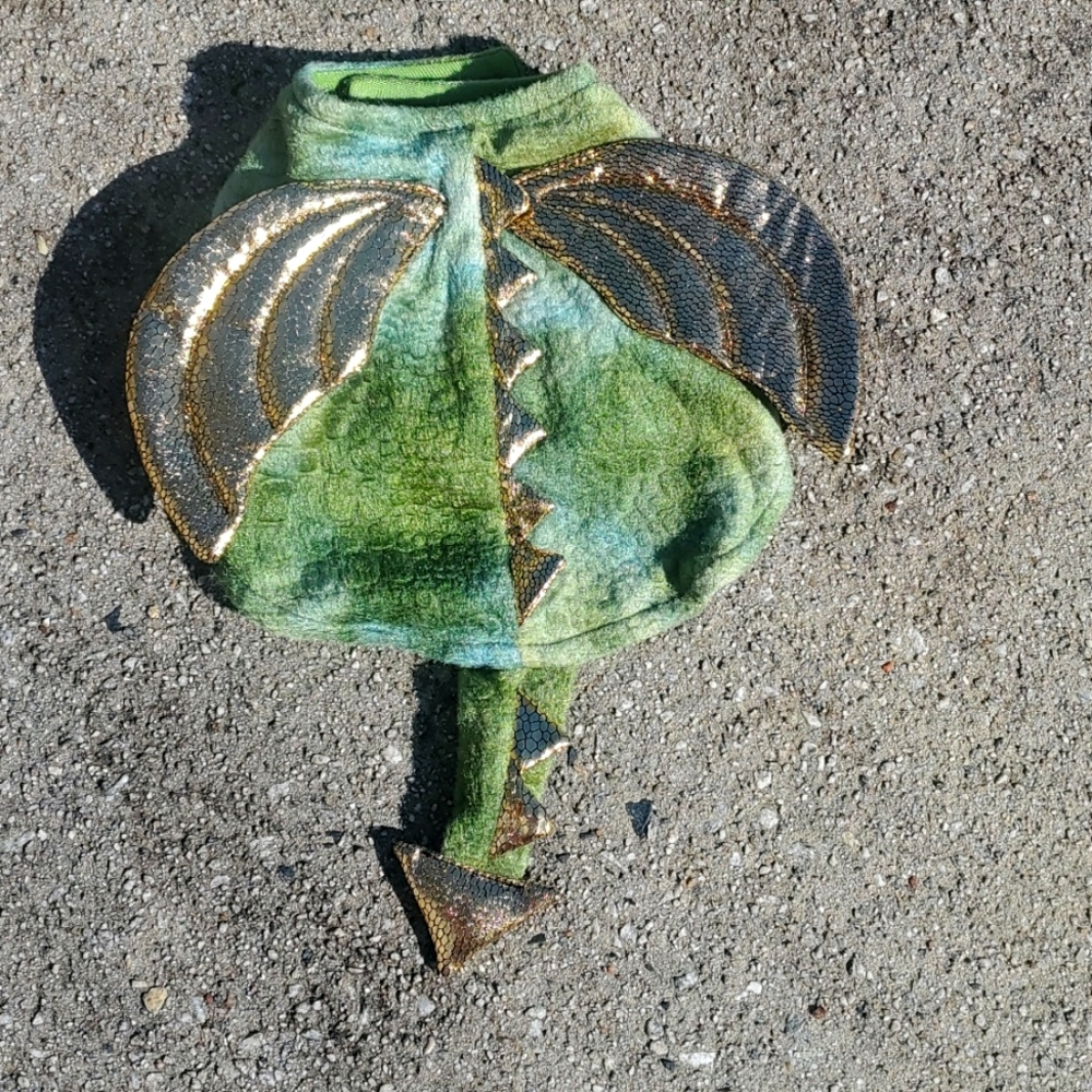 Cute doggie dragon costume xs